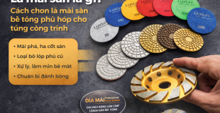 Lá Mài Sàn Là Gì? 